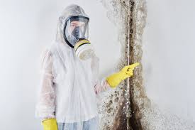 Best Mold Remediation for Healthcare Facilities in USA